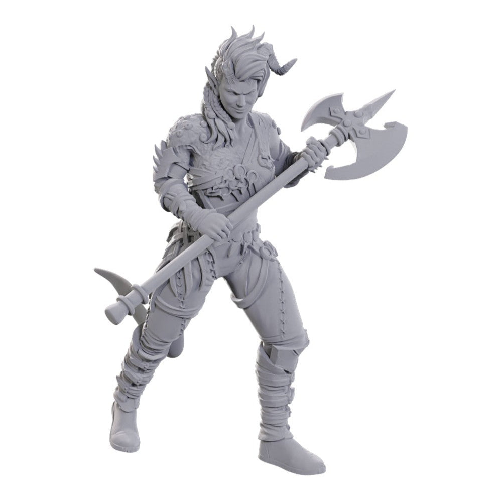 D&D Nolzur's Marvelous Miniatures: Baldur's Gate 3 Special Edition