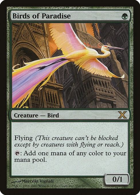 Birds of Paradise | 10th Edition #252