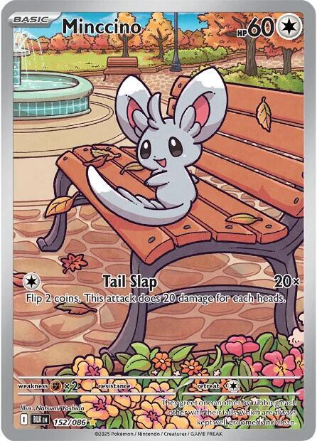 Minccino - 152/086 | SV: Black Bolt #152/086